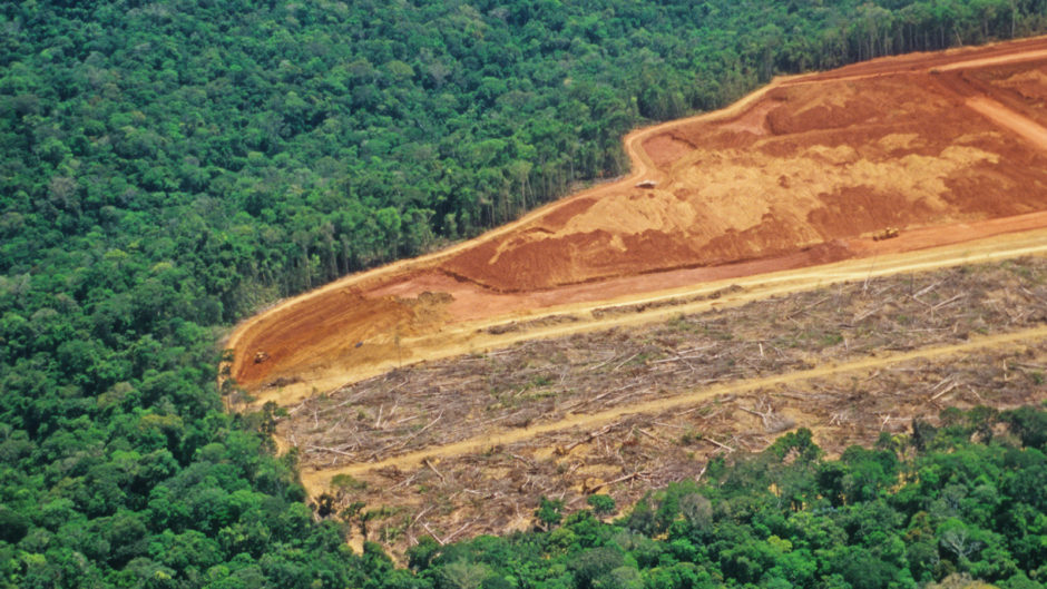 Western Industrial Farming Is Eating Our Forests