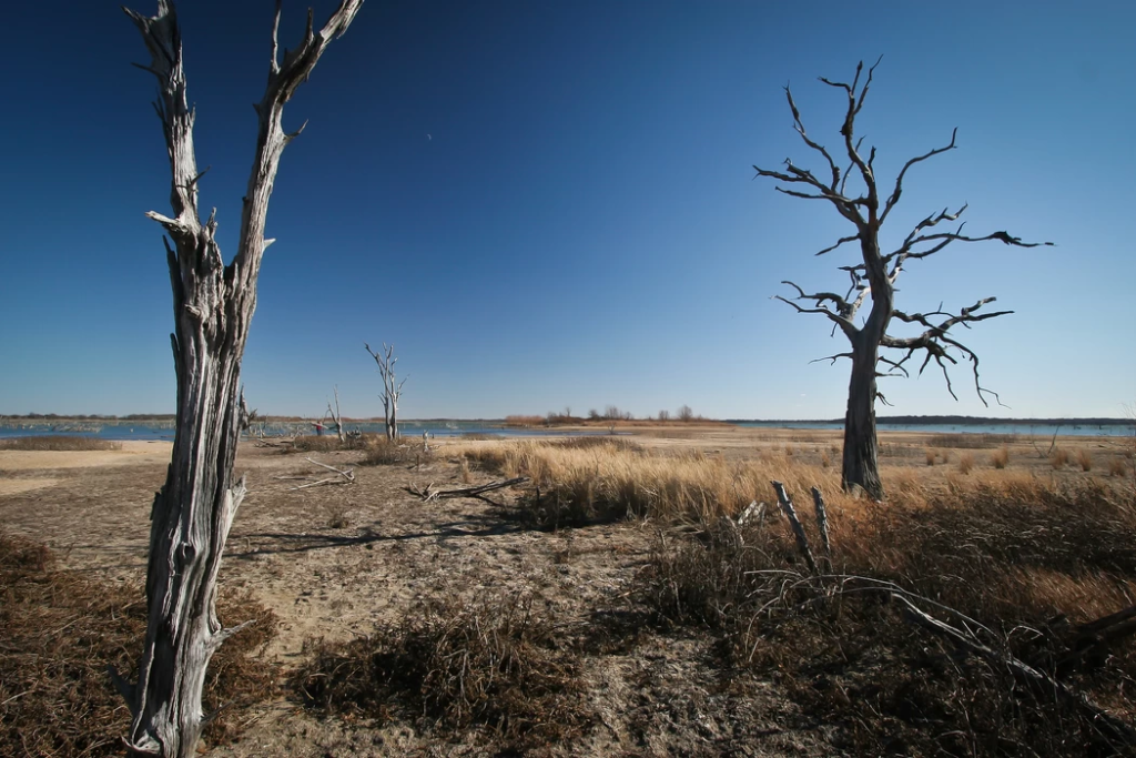 FEMA Contractor Predicts 'Social Unrest' Caused by a Global Food Crisis