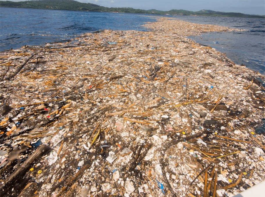 Shocking Photos of Plastic Pollution in Caribbean