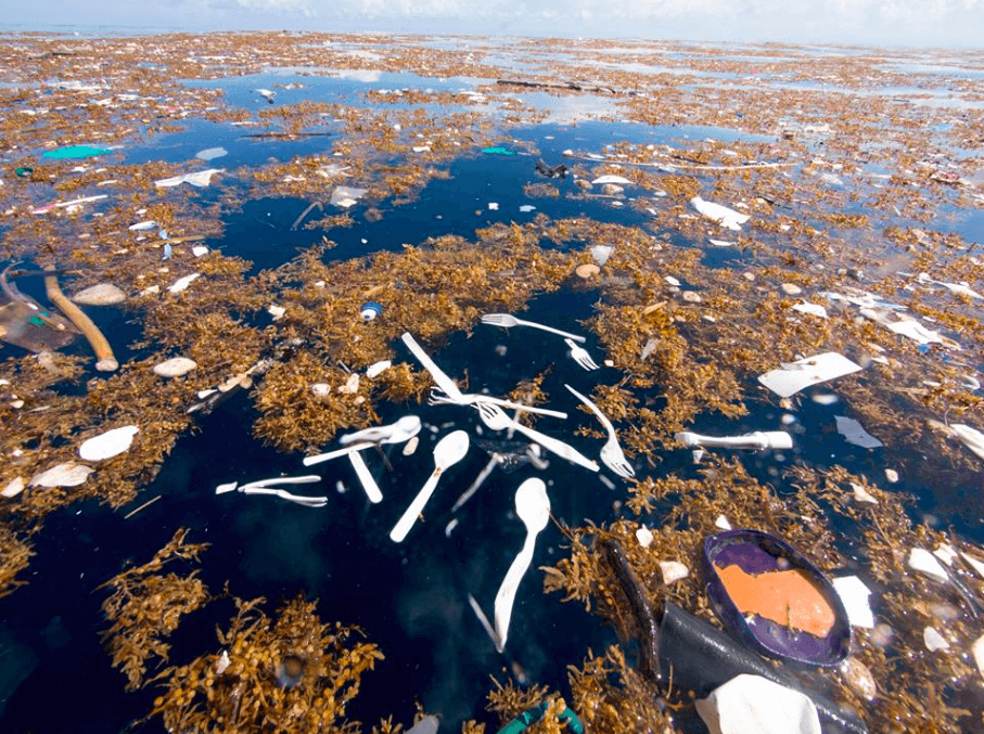 Shocking Photos of Plastic Pollution in Caribbean