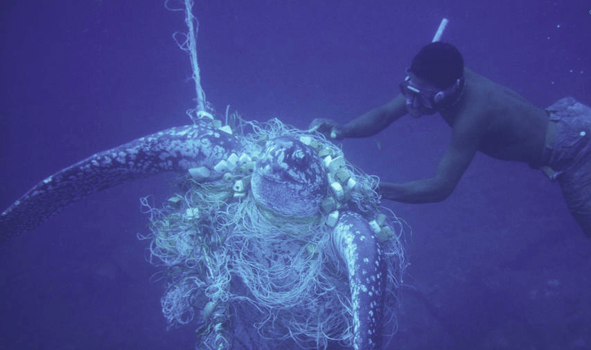 Shocking Photos of Plastic Pollution in Caribbean